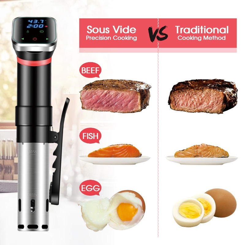 Digital Sous Vide Machine Low  - Digital Sous Vide Precision Cooker ulasan dan harga