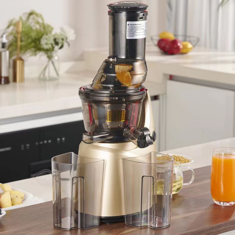 Best Stainless Steel 60 Househ - Electric Slow Juicer Cold Press ulasan dan harga