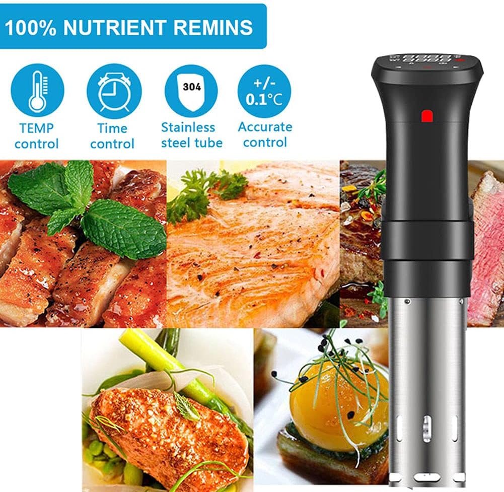 Sous Vide Machine Precision Co - Digital Sous Vide Precision Cooker ulasan dan harga