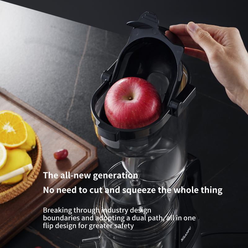 Vegetable Fruit Orange Extract - Electric Slow Juicer Cold Press ulasan dan harga