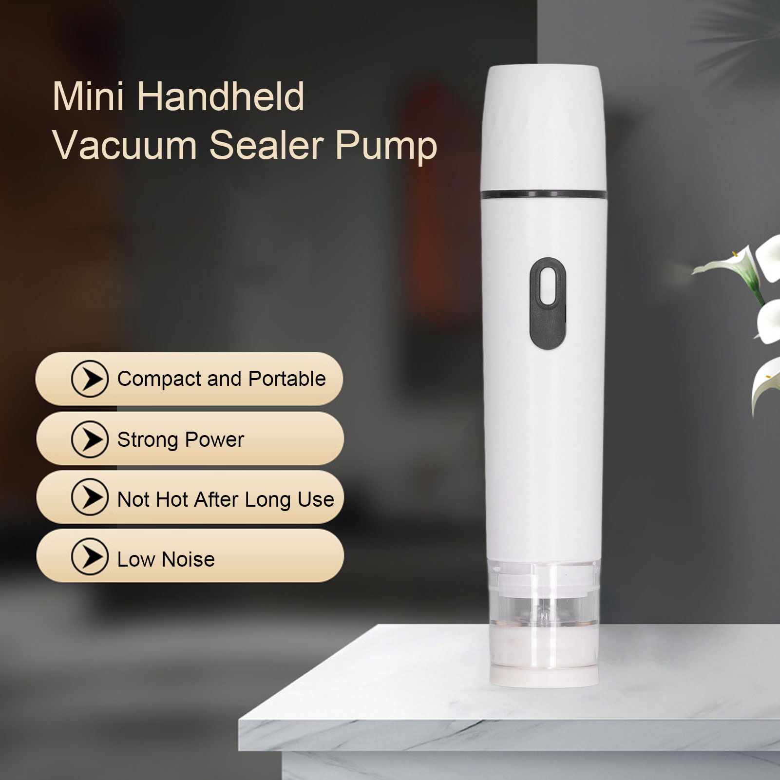 Electric Air Pump Handheld Vac - Food Vacuum Sealer Machine ulasan dan harga