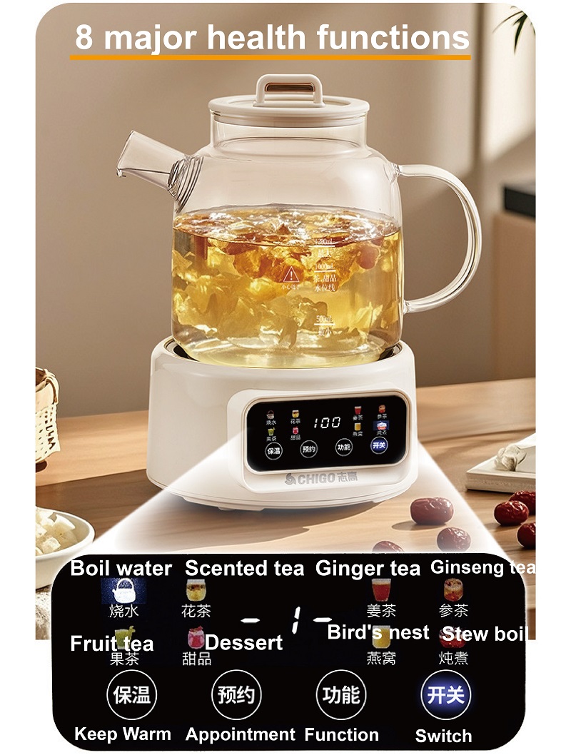 600W Multi-function Health Ket - Electric Kettle Temperature Control ulasan dan harga